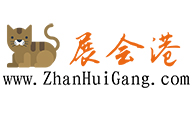 展会港
